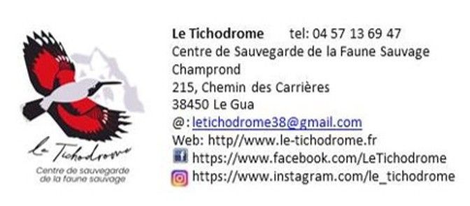 logo tichodrome